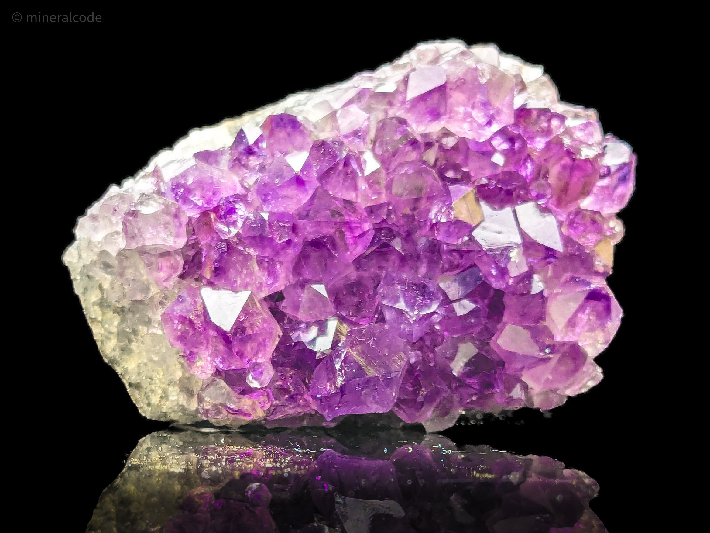 Violetar Prismis