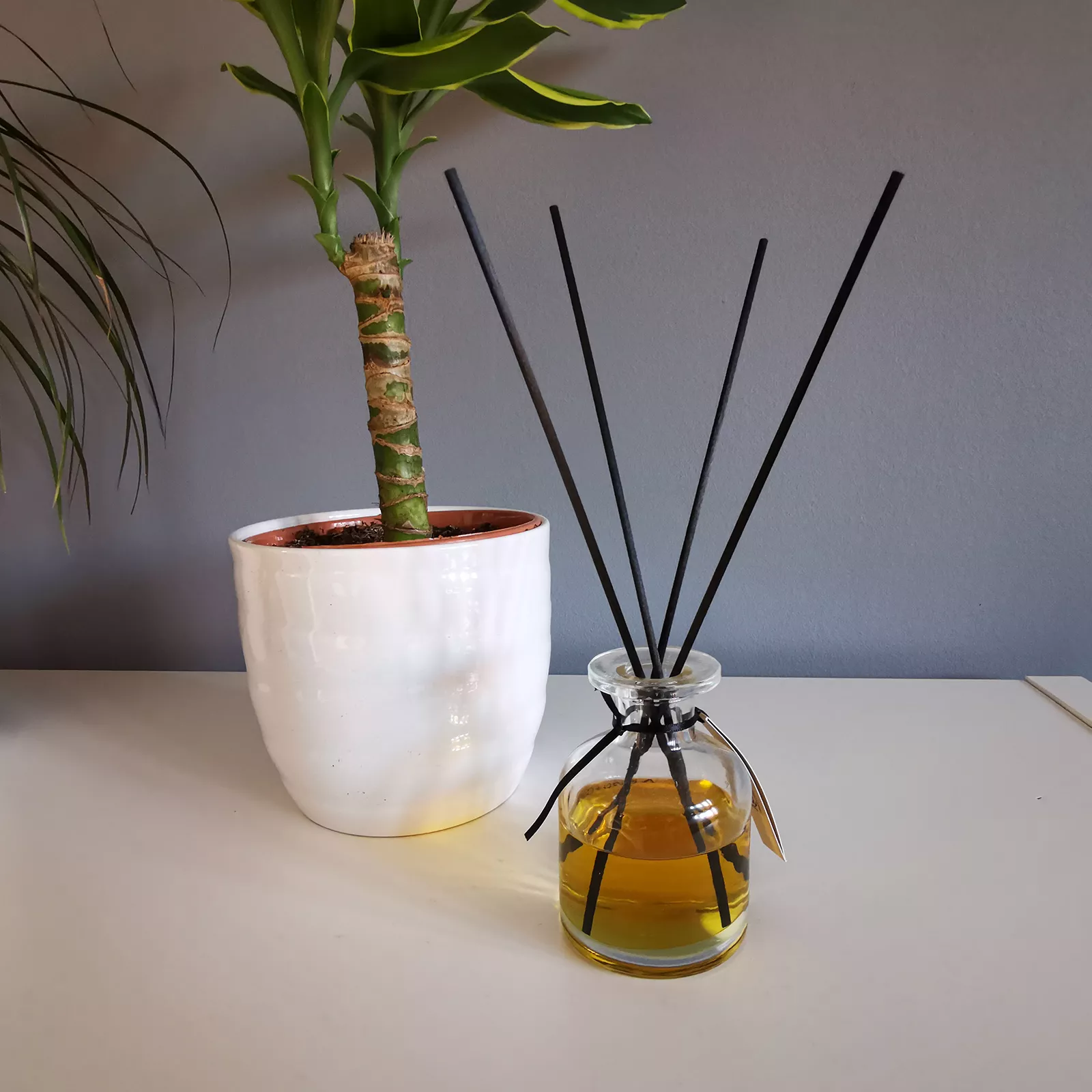 Bambusstäbchen 25cm 3mm - Diffusor-Set
