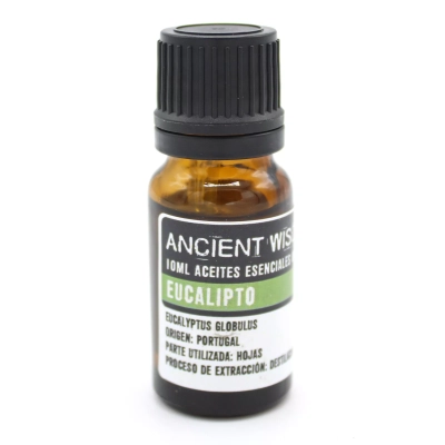 Eukalyptus Globulus - Ätherisches Öl 10ml